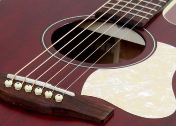 รีวิว Art & Lutherie Americana QIT Series
