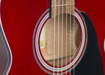 รีวิว กีตาร์โปร่ง Takamine D2N